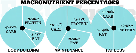 Macronutrient Ratios